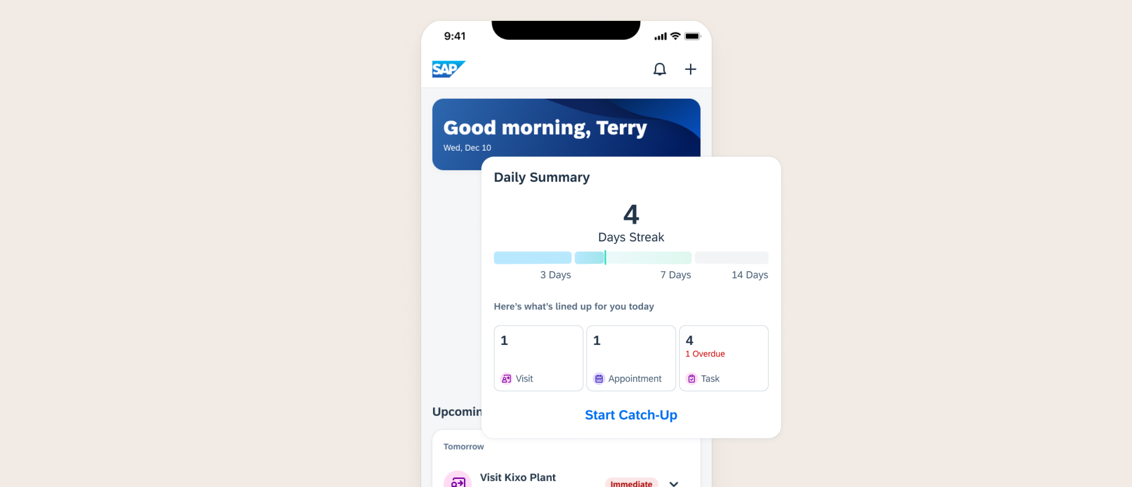 Daily summary with gamification